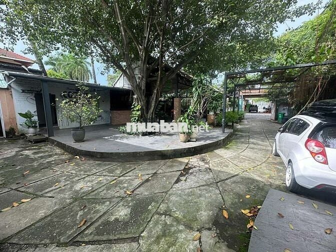 Sang mặt bằng khu VIP Bình Thọ thủ đức