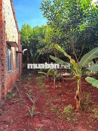 CHÍNH CHỦ BÁN 4543 m đất , có 200m thổ cư tỉnh bình phước