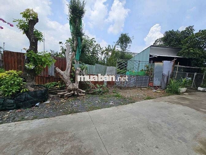 Đất gần chợ Tân Bình phường Tân Bình Tp Dĩ An