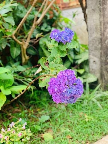 Bán Nhà Côur Knia - Giáp Eabar - Buôn Đôn, Full Tiện Nghi, Vào Ở Ngay