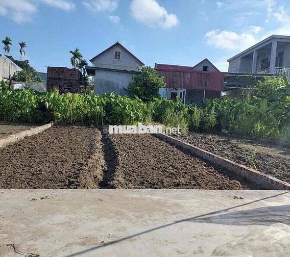 Đất 60m2 HXH 3,5m Văn Xá, Quốc Tuấn, An Dương 820 triệu