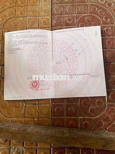 ✨ CẦN BÁN GẤP 2 MIẾNG ĐẤT VƯỜN CHỒNG CÂY LÂU NĂM– GIÁ TỐT – CÁI RĂNG,