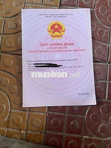 ✨ CẦN BÁN GẤP 2 MIẾNG ĐẤT VƯỜN CHỒNG CÂY LÂU NĂM– GIÁ TỐT – CÁI RĂNG,