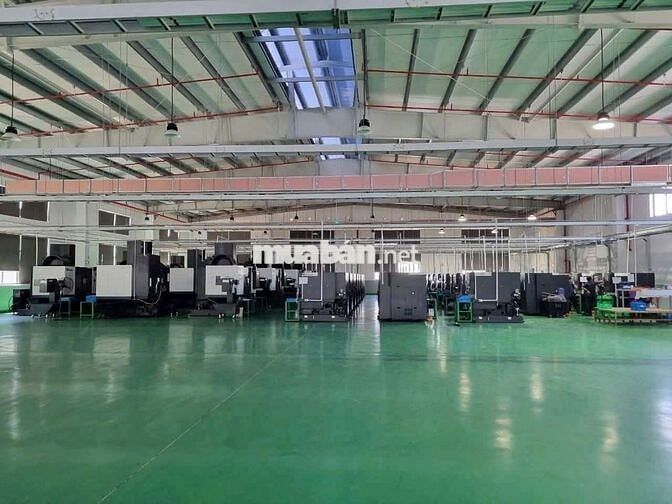 KHO XƯỞNG (1.700m²) KHU LÊ VĂN QUỚI, BÌNH TÂN