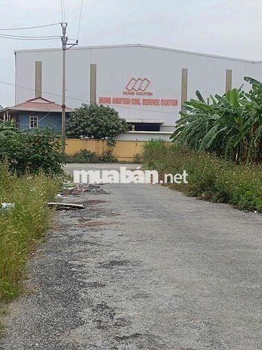 Đất 100m2 ngang 5m MT đường 12m Đồng Hải, An Hưng 1,24 tỷ