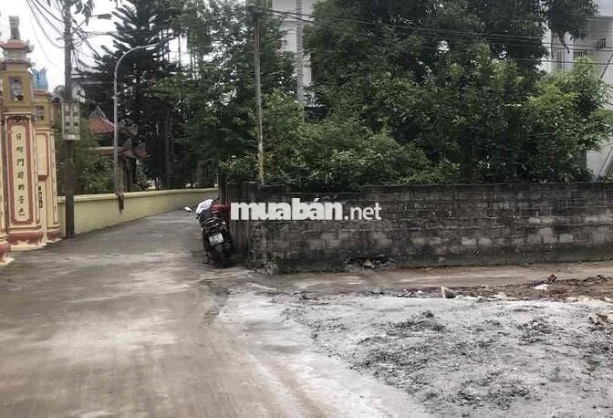 Đất 40m2 ngang 4,2m HXH 5m Cống Mỹ, 709 triệu