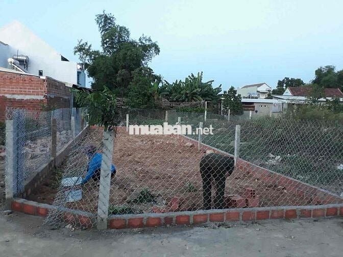 ❗️CẦN BÁN GẤP ĐẤT HẺM 70.6m2 - SHR - HXH THÔNG - CHỢ PHÚ TRUNG - 620Tr