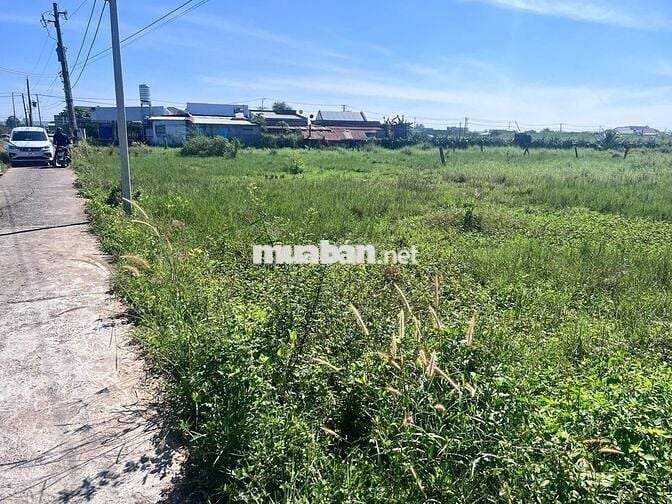 Lô đất Biệt Thự Mini Cho Vợ Chồng Trẻ Cần Xây Nhà Trung Tâm Hàm Thắng