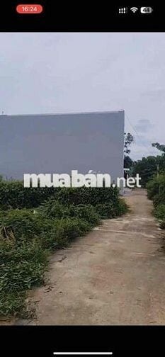 ❗️CẦN BÁN GẤP ĐẤT HẺM 70.6m2 - SHR - HXH THÔNG - CHỢ PHÚ TRUNG - 620Tr