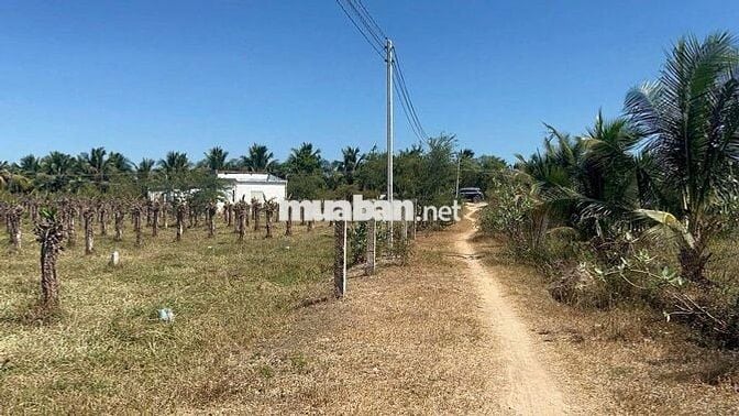 ĐẤT NỀN BÌNH THUẬN GẦN SÂN BAY PHAN THIẾT 200M THỔ CƯ, ĐƯỜNG Ô TÔ