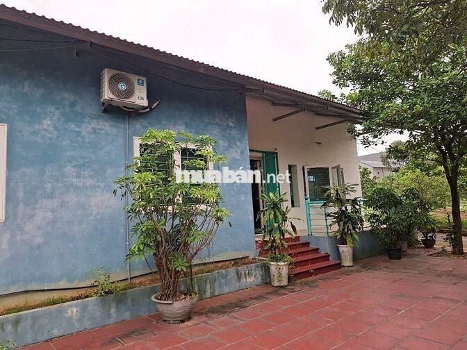 BÁN NHÀ NGHỈ DƯỠNG VIEW HỒ – 3000 M² TẠI BA VÌ, HÀ NỘI