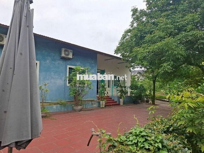 BÁN NHÀ NGHỈ DƯỠNG VIEW HỒ – 3000 M² TẠI BA VÌ, HÀ NỘI