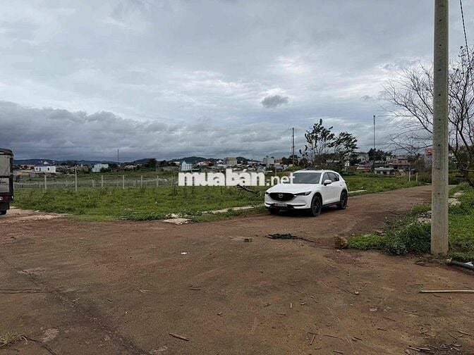 BÁN ĐẤT PHÚ HỘI ĐỨC TRỌNG LÂM ĐỒNG