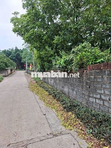 BÁN NHÀ NGHỈ DƯỠNG VIEW HỒ – 3000 M² TẠI BA VÌ, HÀ NỘI