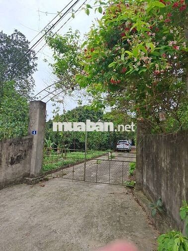 BÁN NHÀ NGHỈ DƯỠNG VIEW HỒ – 3000 M² TẠI BA VÌ, HÀ NỘI