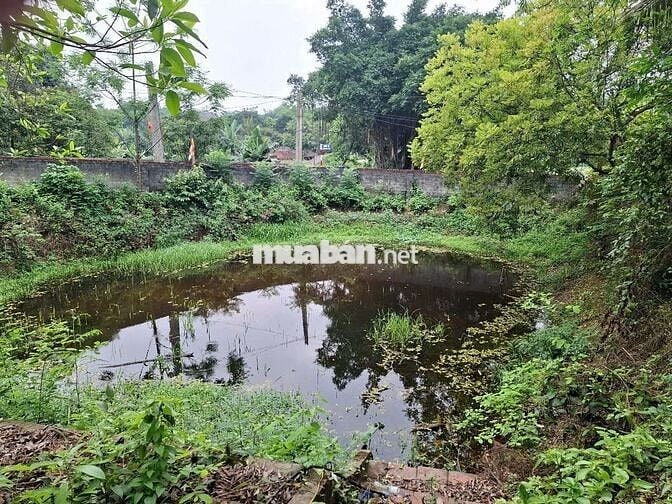 BÁN NHÀ NGHỈ DƯỠNG VIEW HỒ – 3000 M² TẠI BA VÌ, HÀ NỘI