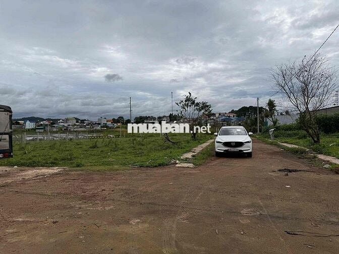 BÁN ĐẤT PHÚ HỘI ĐỨC TRỌNG LÂM ĐỒNG