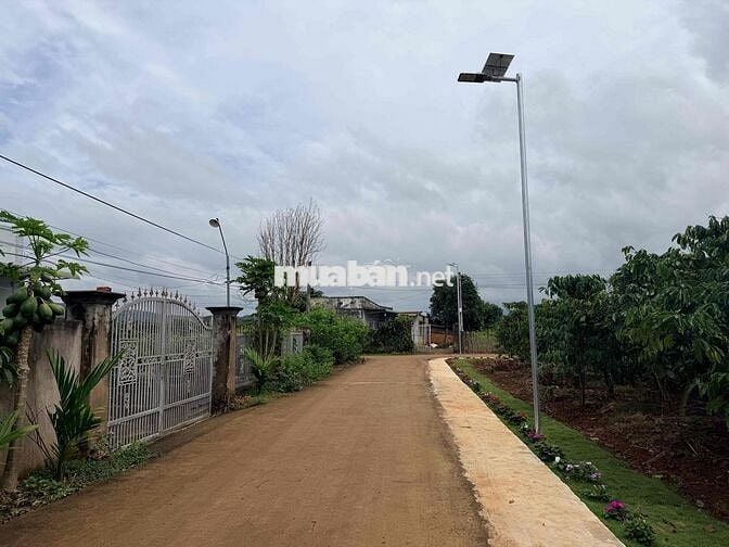 Bán đất chính chủ tại xã Bình Thạnh - Lâm Đồng có thổ cư giá rẻ