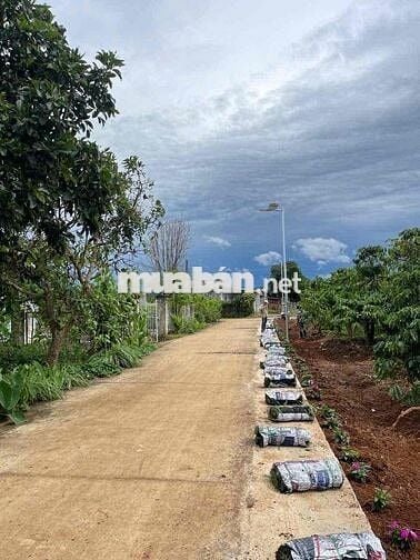 Bán đất chính chủ tại xã Bình Thạnh - Lâm Đồng có thổ cư giá rẻ