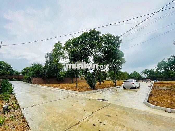 CC CẦN BÁN 15M YÊN BÀI MẶT TIỀN HƠN 7m