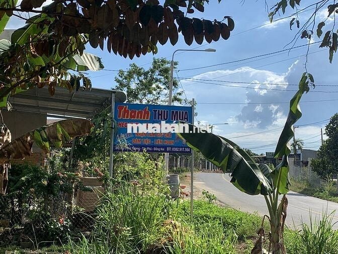 BÁN ĐẤT MẶT TIỀN PHÚ LẬP NAM CÁT TIÊN (ĐÃ CHUYỂN FULL HÔNG