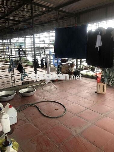 Nhà 4 tầng 50m2 lô góc 2MT Đà Nẵng, Đông Hải 1 chỉ 3 tỷ