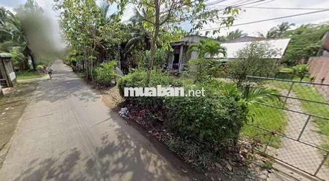 Bán Nhà kèm Đất 1000m², cách Chợ Giồng Trôm 5 phút – Giá mềm 3.8 tỷ