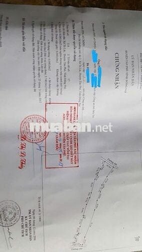 Bán đất vườn 2 mặt tiền 300m² thổ cư, nhà sẵn, vườn cây đang thu hoạch