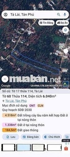Bán đất vườn 2 mặt tiền 300m² thổ cư, nhà sẵn, vườn cây đang thu hoạch