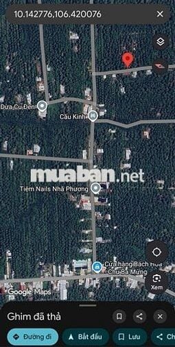 ★CẦN BÁN  >2000 m2 đất vườn dừa (CLN)