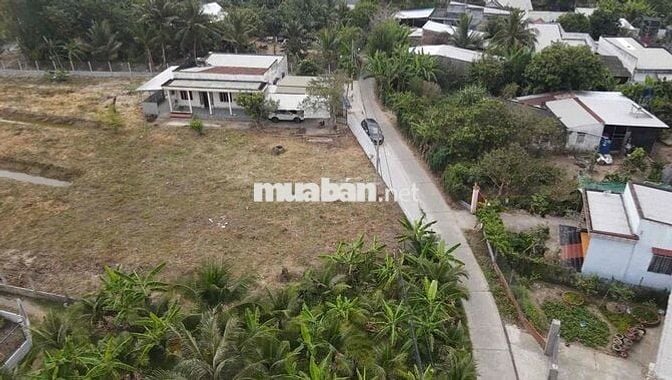 cho thuê nhà đất vườn 3.600m2 phường Phú Khương (Tp Bến Tre cũ)