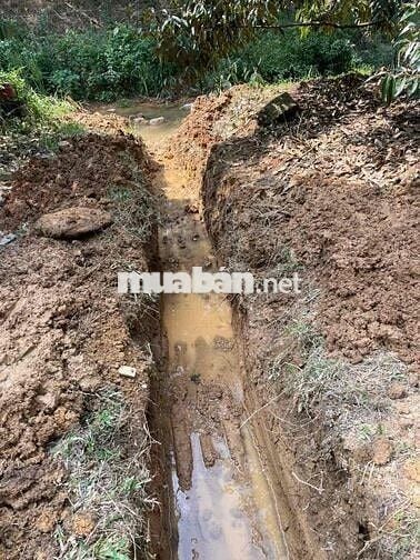 Bán Đất tại DT721, Đạ Kho, Đạ Tẻh, Lâm Đồng, 2.5 tỷ, 3.3ha