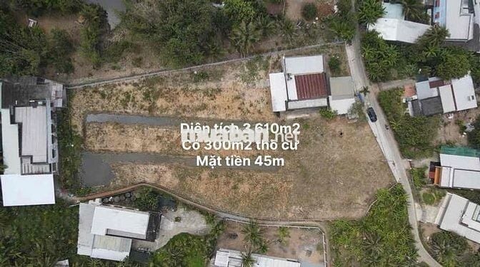 cho thuê nhà đất vườn 3.600m2 phường Phú Khương (Tp Bến Tre cũ)