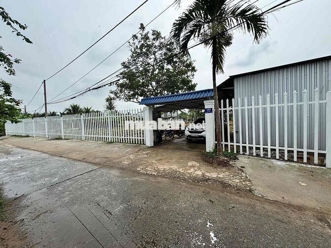 cho thuê nhà đất vườn 3.600m2 phường Phú Khương (Tp Bến Tre cũ)