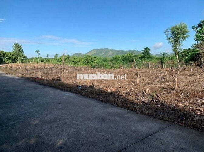 ĐẤT GIÁ RẺ - 450 triệu - đường Tà Lài