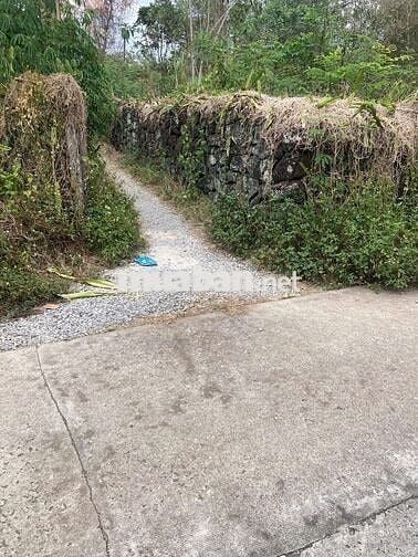 Bán đất tân phú đồng nai 2300m2 có 300 thổ cư