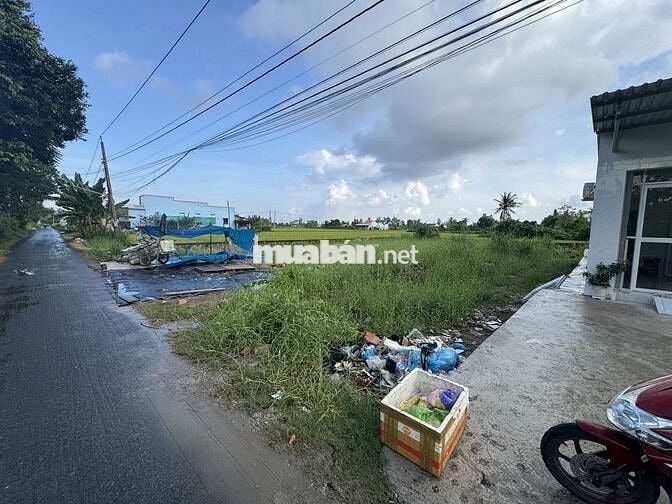 CHÍNH CHỦ BÁN ĐẤT THỔ CƯ TẠI XÃ LONG BÌNH, GÒ CÔNG TÂY TIỀN GIANG