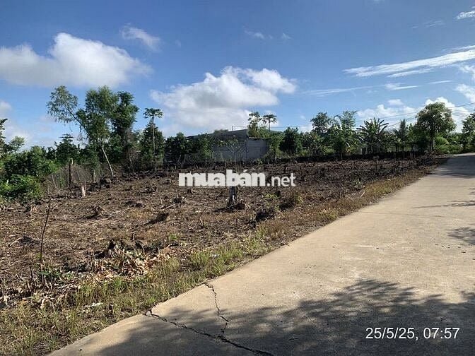 ĐẤT GIÁ RẺ - 450 triệu - đường Tà Lài