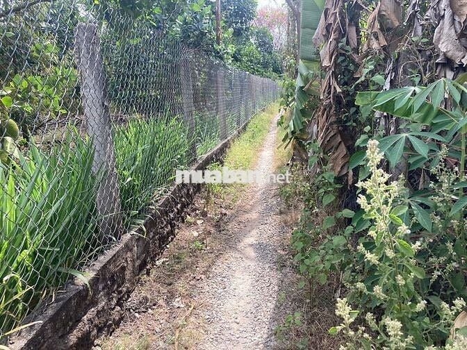 Bán đất tân phú đồng nai 2300m2 có 300 thổ cư