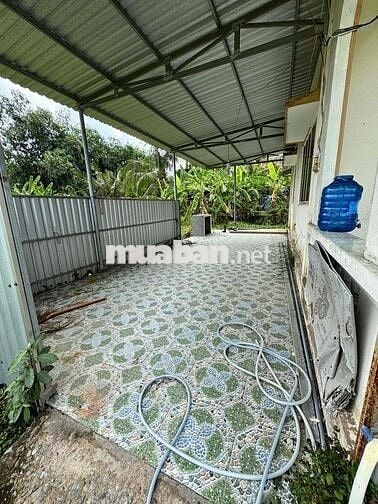 cho thuê nhà đất vườn 3.600m2 phường Phú Khương (Tp Bến Tre cũ)