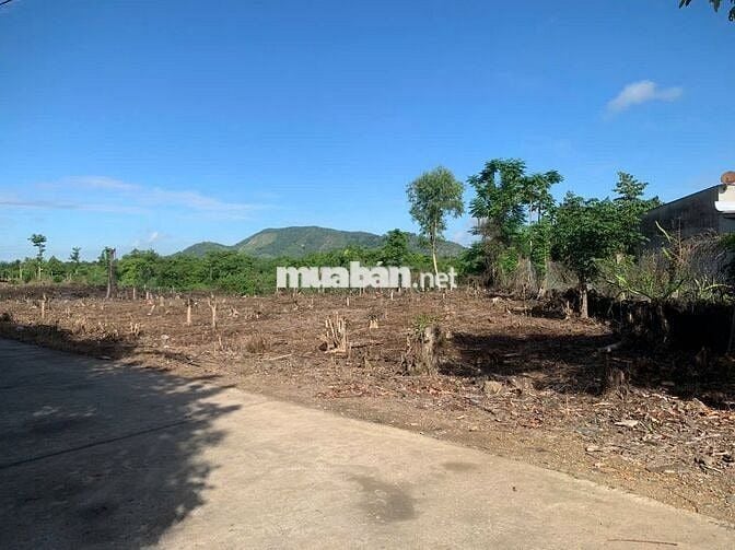 ĐẤT GIÁ RẺ - 450 triệu - đường Tà Lài