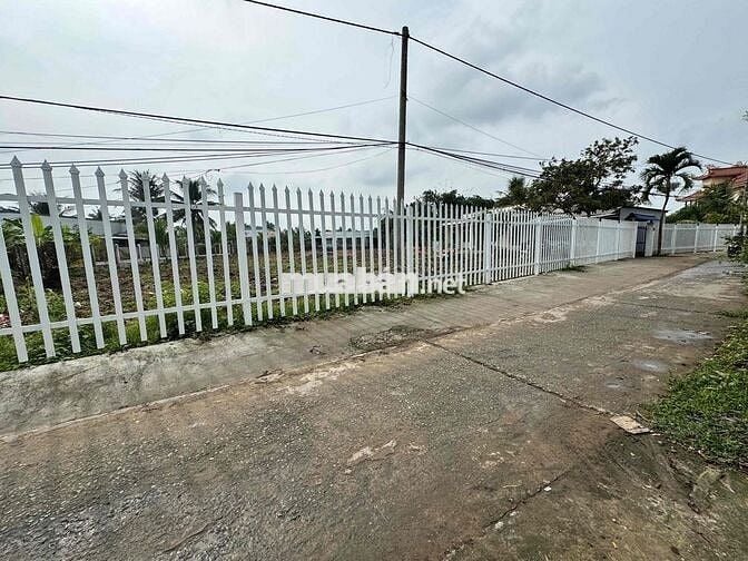 cho thuê nhà đất vườn 3.600m2 phường Phú Khương (Tp Bến Tre cũ)