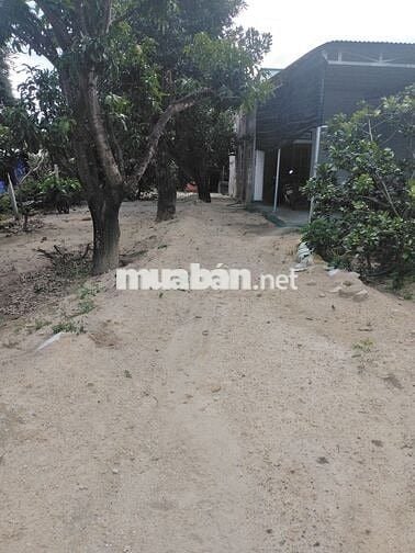 Đất Vườn KDL Suối Mơ, Đồng Nai