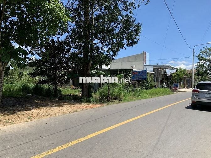 BÁN ĐẤT MẶT TIỀN PHÚ LẬP NAM CÁT TIÊN (ĐÃ CHUYỂN FULL HÔNG