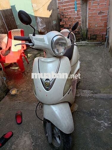 SYM màu Trắng Elizabeth Fi 2012