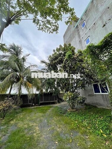 Ở nghỉ dưỡng vừa có thu nhập cách 50km TPHCM