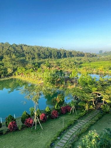 Chủ bể nợ bán gấp 125m² đất khu du lịch view hồ đồi thông cực xịn