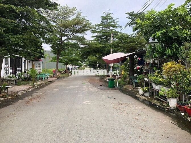 Bán 2 nền Đất 5x20 Thị trấn Thủ Thừa Ngay KCN Hòa Bình Thổ 100% MT 7m