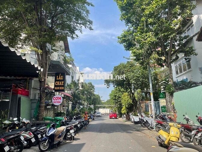 ✅Đường Hoa Mai Cho Thuê - 8x13 - 208m2. 2 Tầng