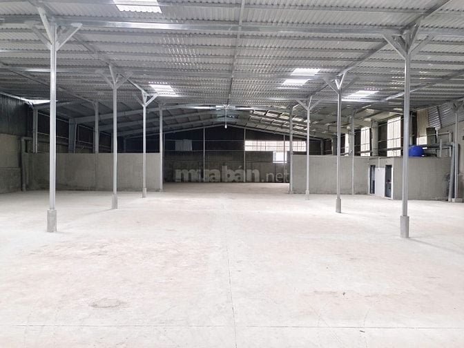 Cho thuê 2 nhà xưởng Thanh niên, Bình Chánh, DT : 1.150m2 - 1.200m2